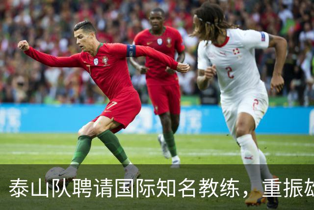 泰山队聘请国际知名教练，重振雄风的第一步